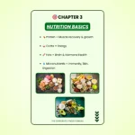 The Corporate Fitness Formula E-Book - Image 4